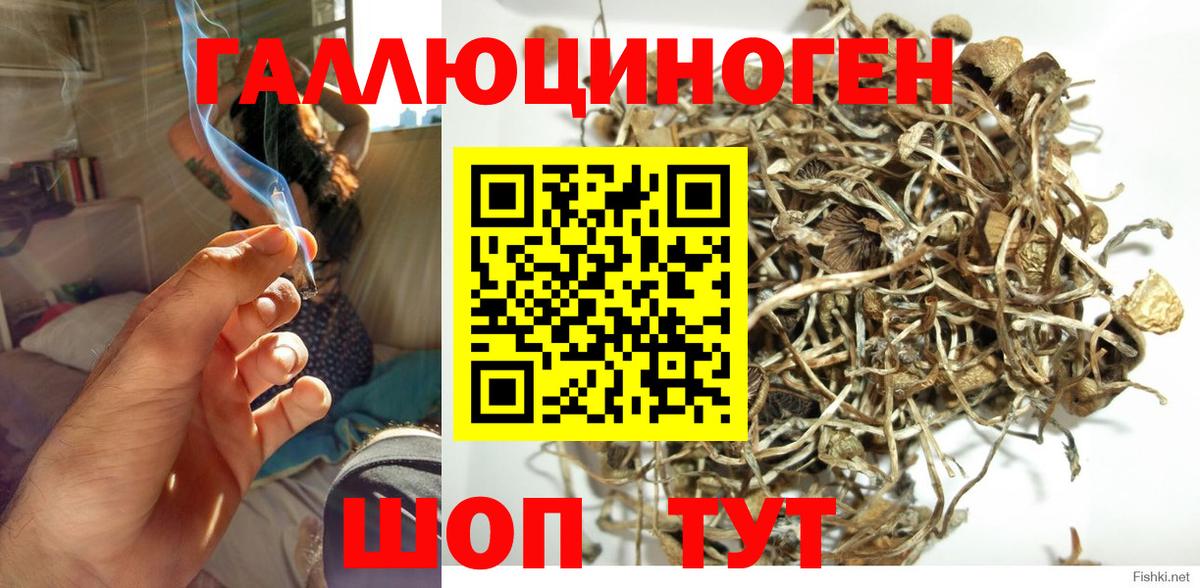 Холмск  Псилоцибиновые грибы MAGIC MUSHROOMS  Псилоцибиновые грибы Magic Shrooms  Вход с VPN 